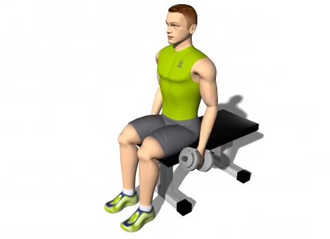 Seated dumbbell front raise - STUDIOGYM